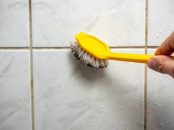 Best Emergency Mold Removal  in Buford, GA