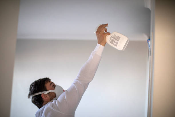 Mold Testing and Removal in Buford, GA
